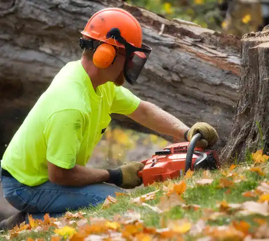 tree services Leesville